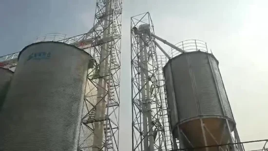 중국 Shelley 공장 맞춤형 버킷 엘리베이터 곡물 엘리베이터 로딩 시스템